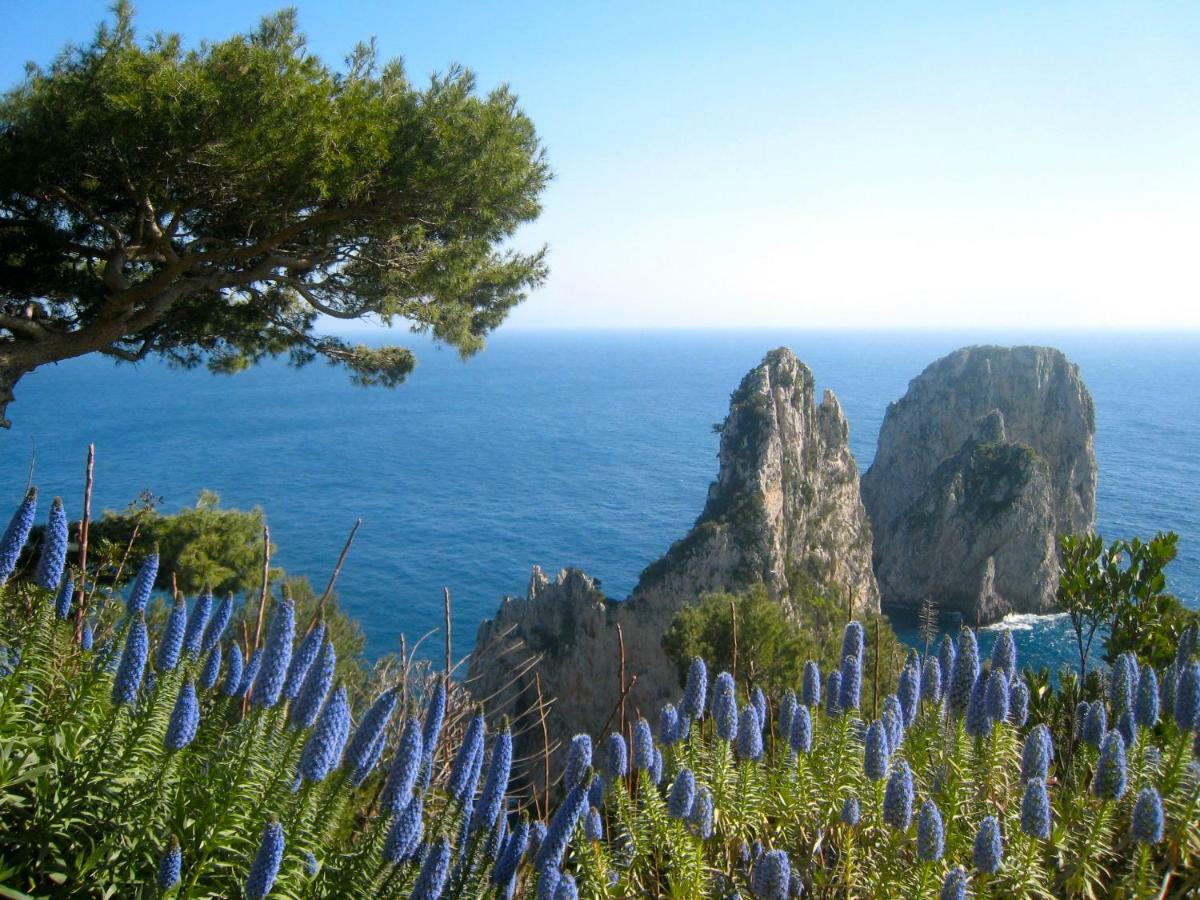 Casa Giovanna Capri Exteriér fotografie